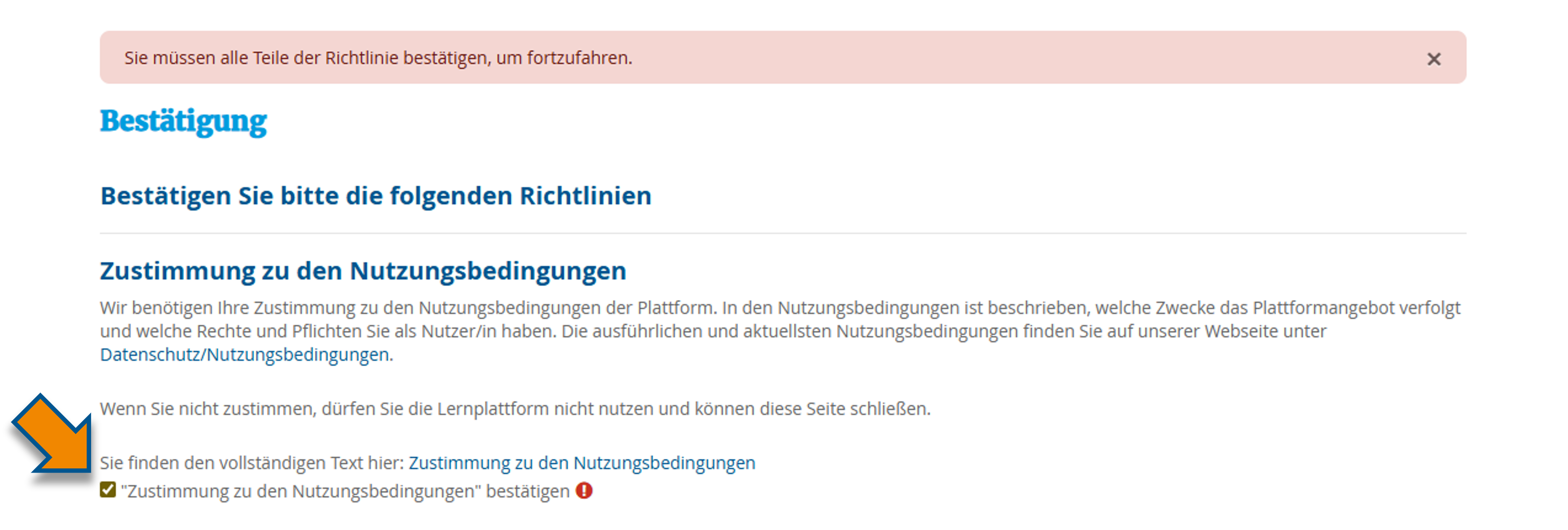 Haken gesetzt bei "Zustimmung zu den Nutzungsbedingungen bestätigen".