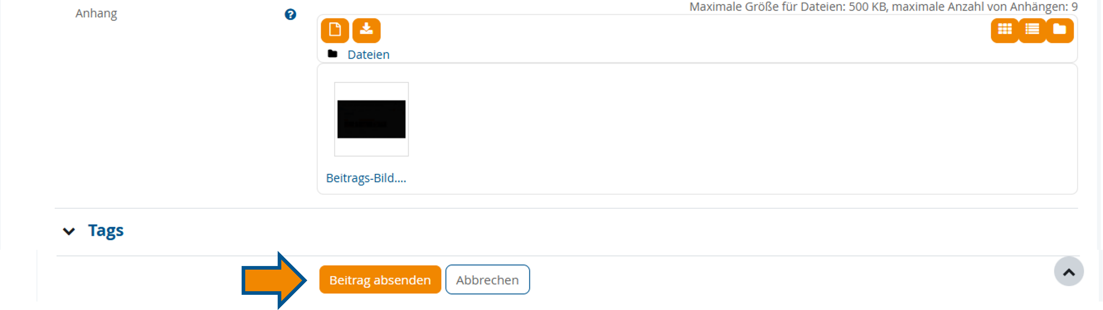 Markierung des Buttons zur Veröffentlichung des Beitrags am Seitenende