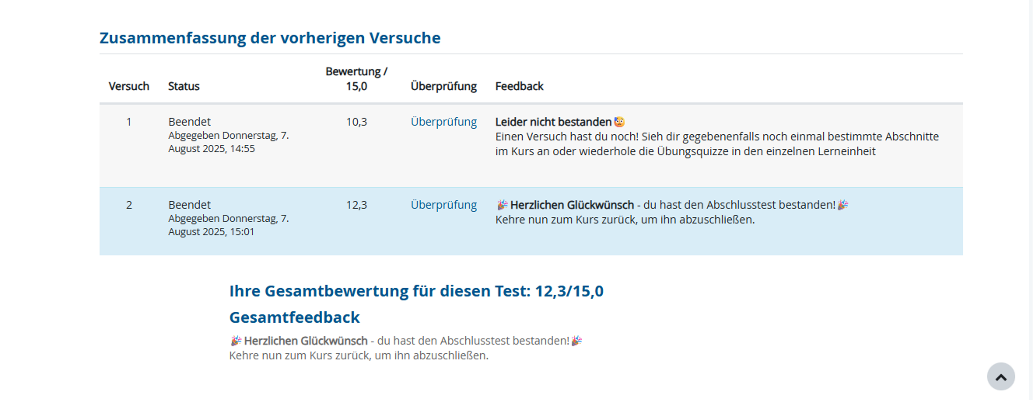 Ansicht exemplarischer Testzusammenfassungen in der Aktivitätsübersicht