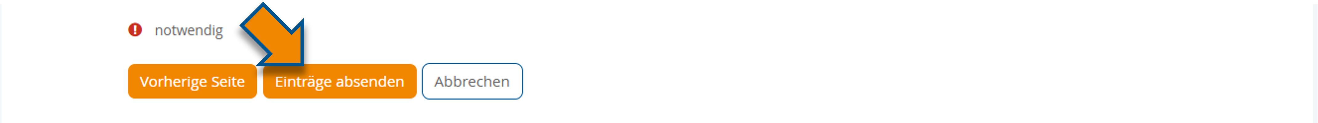 Markierung des "Einträge absenden"-Buttons am Ende des Feedback-Formulars
